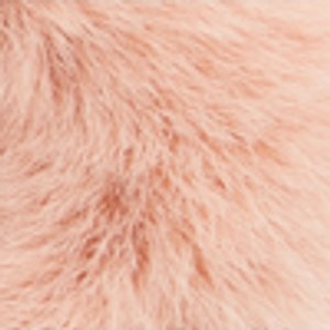 Alyd - Image 2