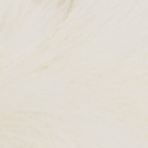 Alyd - Image 2