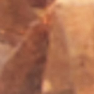 Brocla - Image 3