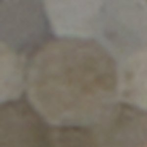 Prardodith - Image 2