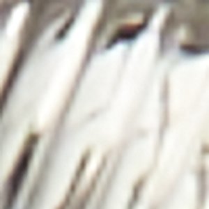 Chawiell - Image 2
