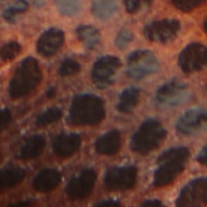 Stessy2.0 - Image 8
