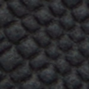 Braunbock - Image 9