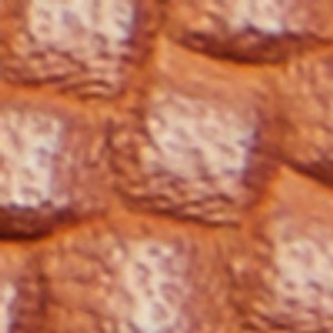 Discourse - Image 10
