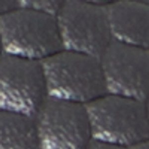 Discourse - Image 9