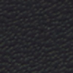 Aurorai - Image 8