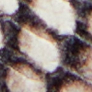 Laroche - Image 7
