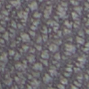 Lagoon - Image 8