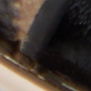 Lagoon - Image 8