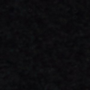 Tucker - Image 9