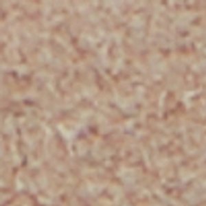 Seatide - Image 10