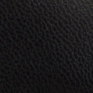 Seeger - Image 10
