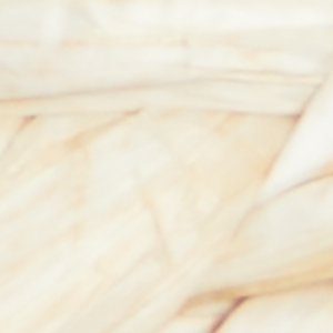 Claudina - Image 8