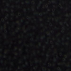 Debonair - Image 10