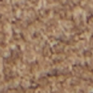 Journey - Image 10