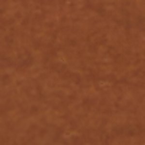 Tazz - Image 9