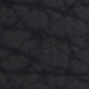 Tazz - Image 9