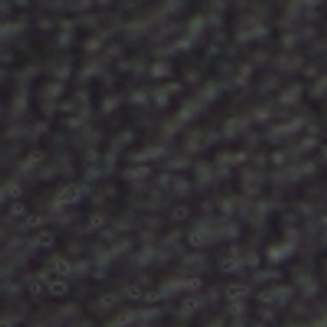 Deniels - Image 9