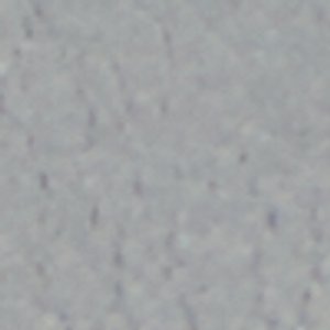 Tenzin - Image 8