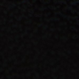 Figtree - Image 7