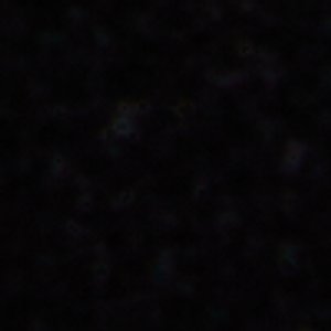 Crestin - Image 9