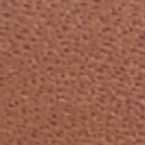 Marcelus - Image 9