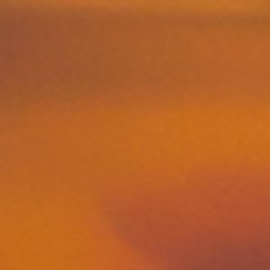 Arabellie - Image 2