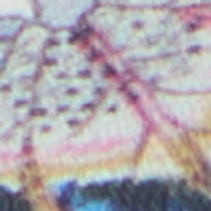 Linette - Image 8