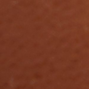 Tanerdee - Image 7