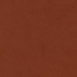 Belide - Image 7