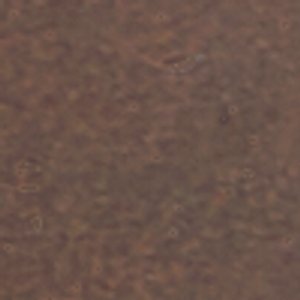 Reis - Image 9