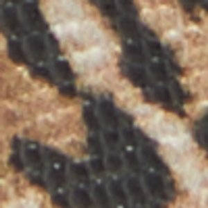 Erilg - Image 8