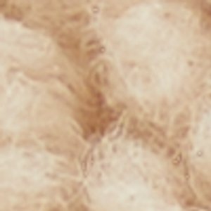 Kellan - Image 10