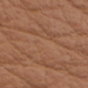 Preth - Image 10