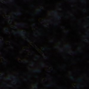 Jaden - Image 9