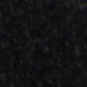 Owens - Image 9
