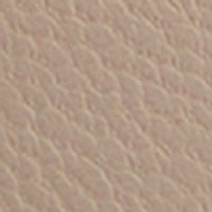Chilly - Image 10