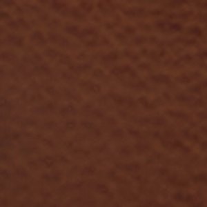 Chilly - Image 10