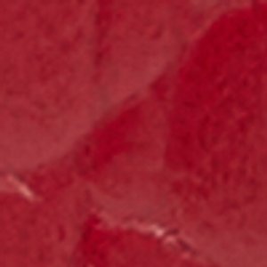 Reniex - Image 4