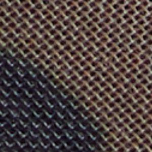 Quincey - Image 8