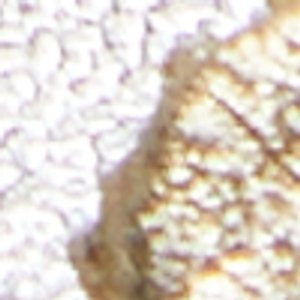 Fiorela - Image 7