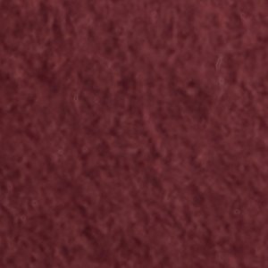Seashella - Image 8