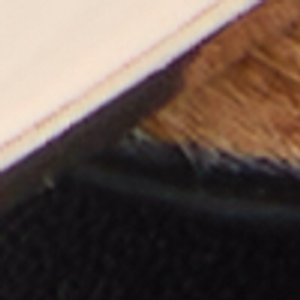 Tidella - Image 8