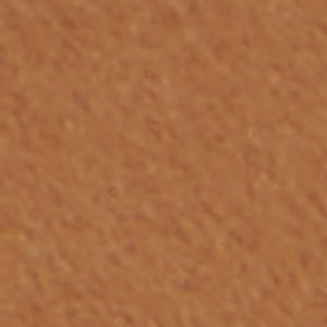 Sandflower - Image 8