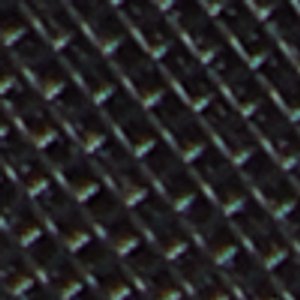 Maxina - Image 8