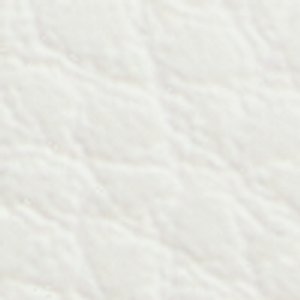 Coelin - Image 9