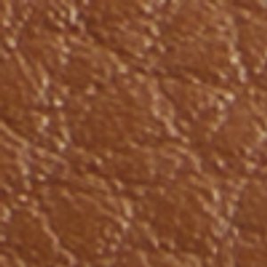 Coelin - Image 9