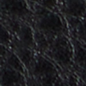 Coelin - Image 9