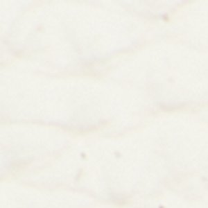 Clubmember - Image 9