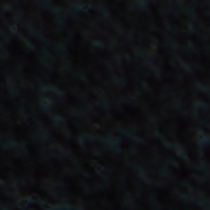 Langston - Image 10
